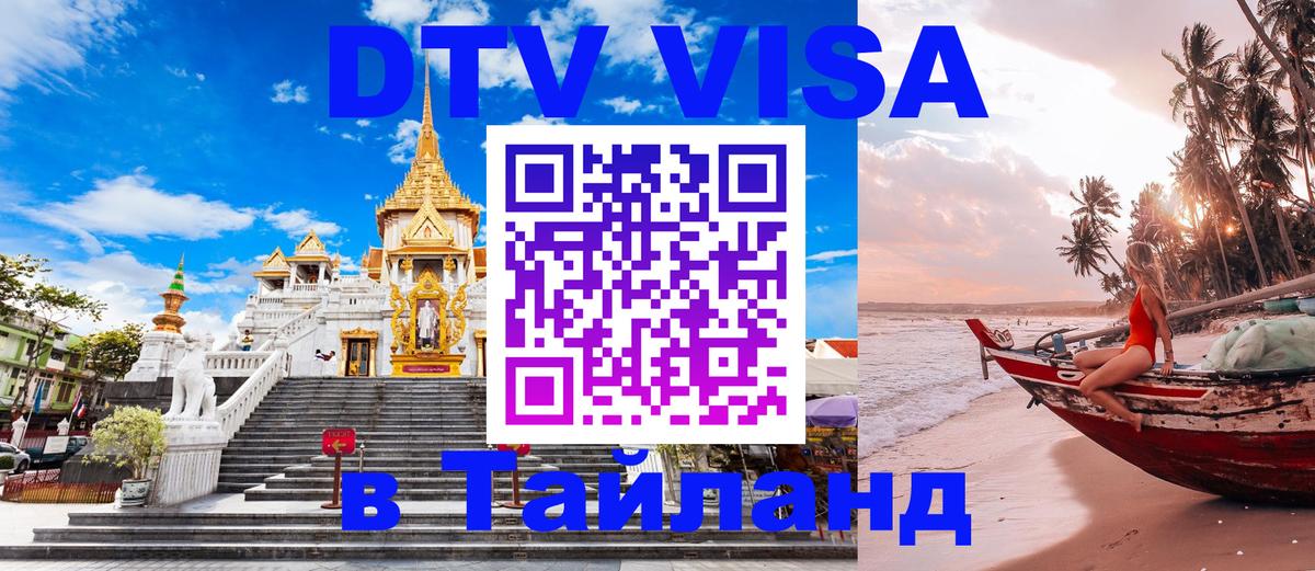 Оформление DTV визы под ключ: стоимость и тарифы, только загранпаспорт - 